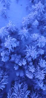 Aerial view of snow-covered forest with frosty trees in winter.