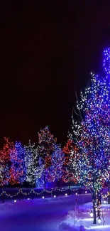 Colorful festive lights on snow-covered trees at night.