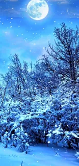 Winter forest under moonlight with snow-covered trees and a clear night sky.