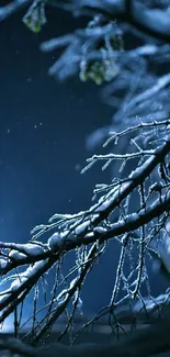 Serene winter night scene with snow-covered branches set against a dark blue sky.