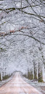 Snow-covered pathway with frosted trees in a serene winter scene.