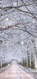 Winter road with frosty trees forming a beautiful canopy.