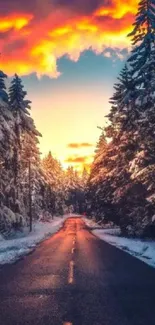 Snow-covered road with vibrant sunset sky and trees.