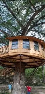 A magnificent wooden treehouse surrounded by lush green trees.