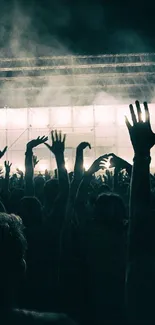 Mobile wallpaper showcasing an energetic concert crowd with lights.