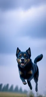 Black dog running energetically under a blue sky in a dynamic mobile wallpaper.