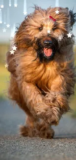 Playful dog running in a scenic field, bright background.