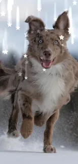 Energetic dog running through snowy landscape.