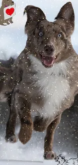 Energetic dog frolicking in snowy winter scene, capturing joy and movement.