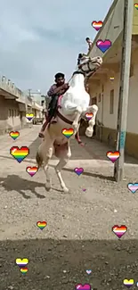 Rider on white horse with colorful hearts on a sunny street.