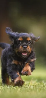 A playful puppy running energetically on a vibrant green field.