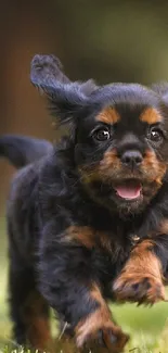 Jumping puppy in lush green field background, full of energy and joy.