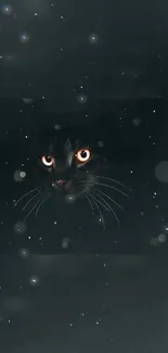 Mystical black cat with glowing eyes in a starry dark gray background.