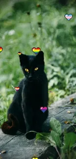 Black cat on a wooden bench in lush green surroundings.