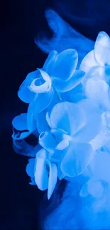 Enchanting blue orchids with ethereal smoke on a dark background.