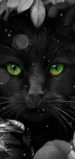 Black cat with green eyes in floral background.