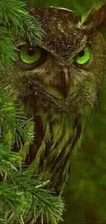 Green-eyed owl camouflaged in lush foliage.