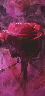 Red rose surrounded by purple smoke in wallpaper.