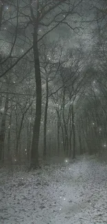 Mystical winter forest path with snow-covered ground and dark trees.