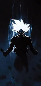 Silhouette of an anime character with glowing hair on a dark blue background.