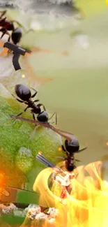 Armed ants battle in lush, fiery wallpaper.