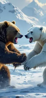 Brown and polar bears clash in snowy landscape.