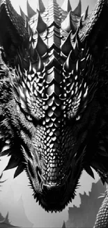 Epic black dragon with intricate scales and dramatic shadows.