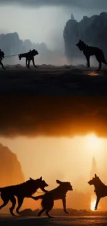 Silhouetted dogs play against a dramatic twilight backdrop.