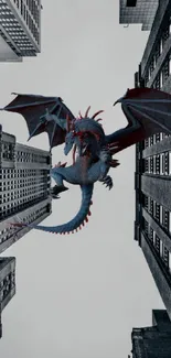 Dragon flying above city skyscrapers with a gray sky.