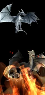 Two majestic dragons on a black background.