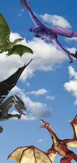 Dragons soaring in a clear blue sky with clouds, creating a mythical scene.