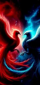 Vibrant clash of red and blue phoenixes in an awe-inspiring mobile wallpaper.