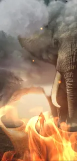 Surreal elephant and fire mobile wallpaper blending nature with fantasy.