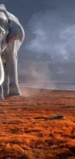 Epic encounter between elephant and human in a surreal landscape.