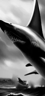 Dramatic black and white wallpaper featuring a jumping shark over stormy waves.