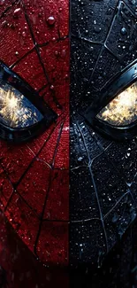 Superhero wallpaper showcasing dual heroic identities.