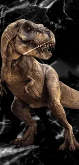 Realistic T-Rex on black marble background wallpaper for mobile phone.