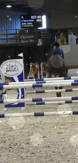 Horse and rider competing in equestrian arena with jumps.