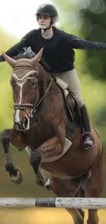 Rider on horse jumping over hurdle with bokeh background.