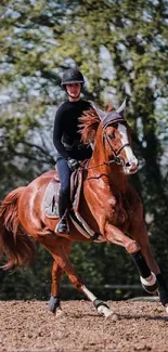 A person riding a brown horse in a lush forest setting.