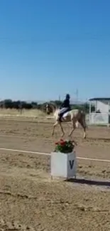 Rider in dressage training against clear blue sky.