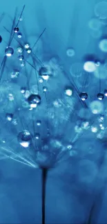 Ethereal blue bokeh wallpaper with water droplets and light effects.