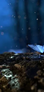 Blue butterflies resting in a mystical, illuminated night forest scene.