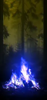 Ethereal blue fire glowing in a dark forest.