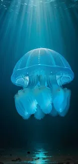 Ethereal blue jellyfish illuminated under ocean water.