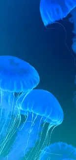 Ethereal wallpaper featuring blue jellyfish glowing in dark ocean water.