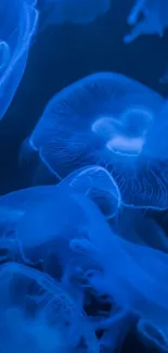 Ethereal blue jellyfish illuminated underwater in a serene ocean scene.