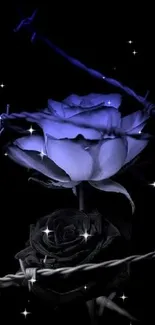 Ethereal blue rose with barbed wire on dark background.