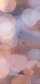 Ethereal bokeh wallpaper with soft pastel circles.