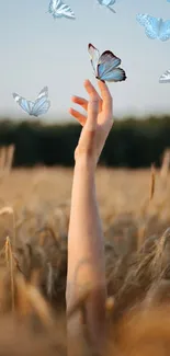 Hand reaching for blue butterflies over golden wheat field.